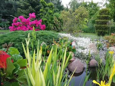 Garden Design-projektowanie, wykonywanie i pielęgnacja ogrodów